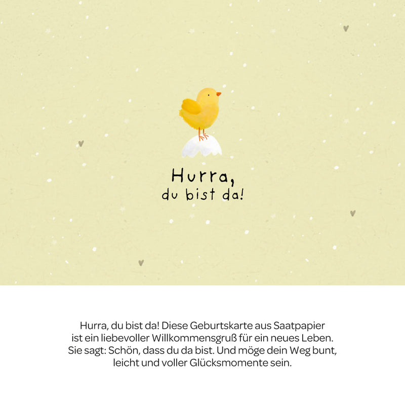 Grußkarte Hurra, du bist da! – Saatpapier mit Wildblumensamen — Ansicht 3