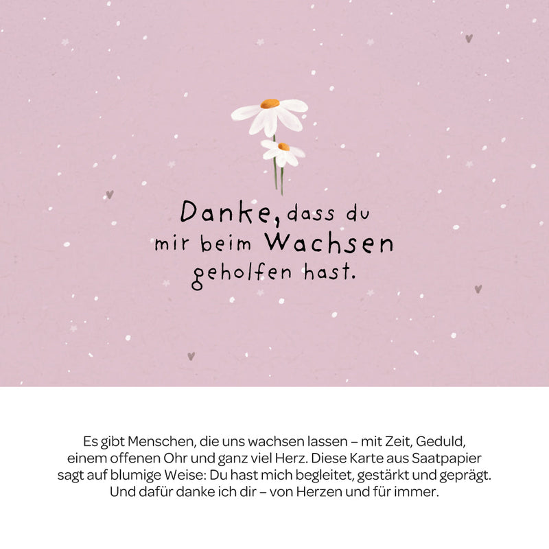 Grußkarte Danke – Saatpapier mit Gänseblümchen — Ansicht 3