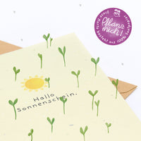 Grußkarte Hallo Sonnenschein – Saatpapier mit Wildblumensamen — Ansicht 4