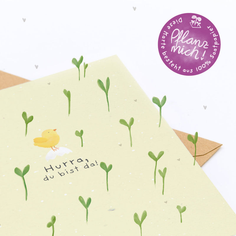 Grußkarte Hurra, du bist da! – Saatpapier mit Wildblumensamen — Ansicht 4