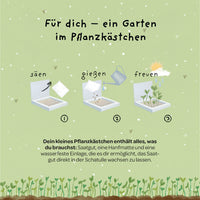 Pflanzkästchen Gänseblümchen – Hanfmatte kompostierbar — Ansicht 4