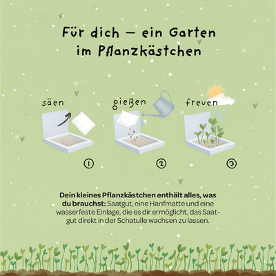 Pflanzkästchen Gänseblümchen – Hanfmatte kompostierbar