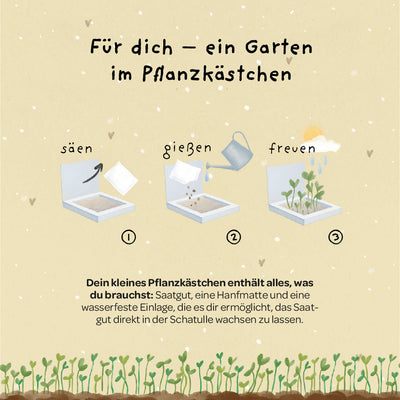 Pflanzkästchen Unentbeerlich – Erdbeer-Saatgut mit Hanfmatte