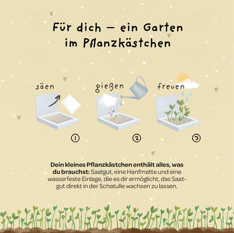 Pflanzkästchen Unentbeerlich – Erdbeer-Saatgut mit Hanfmatte — Ansicht 4