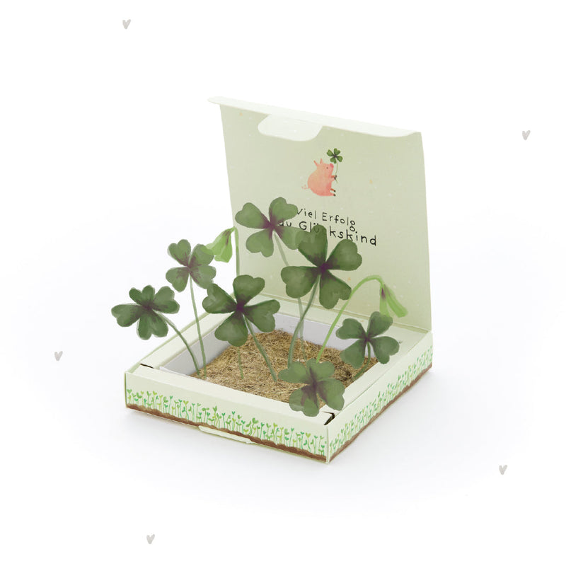 Lucky Clover Seed Box - Seeds with Hemp Mat — Ansicht 2