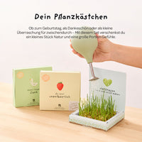 Lucky Clover Seed Box - Seeds with Hemp Mat — Ansicht 5