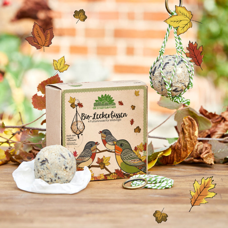 4 ORGANIC Treats – Food Dumplings for Wild Birds, EU-ORGANIC Certified — Die Stadtgärtner