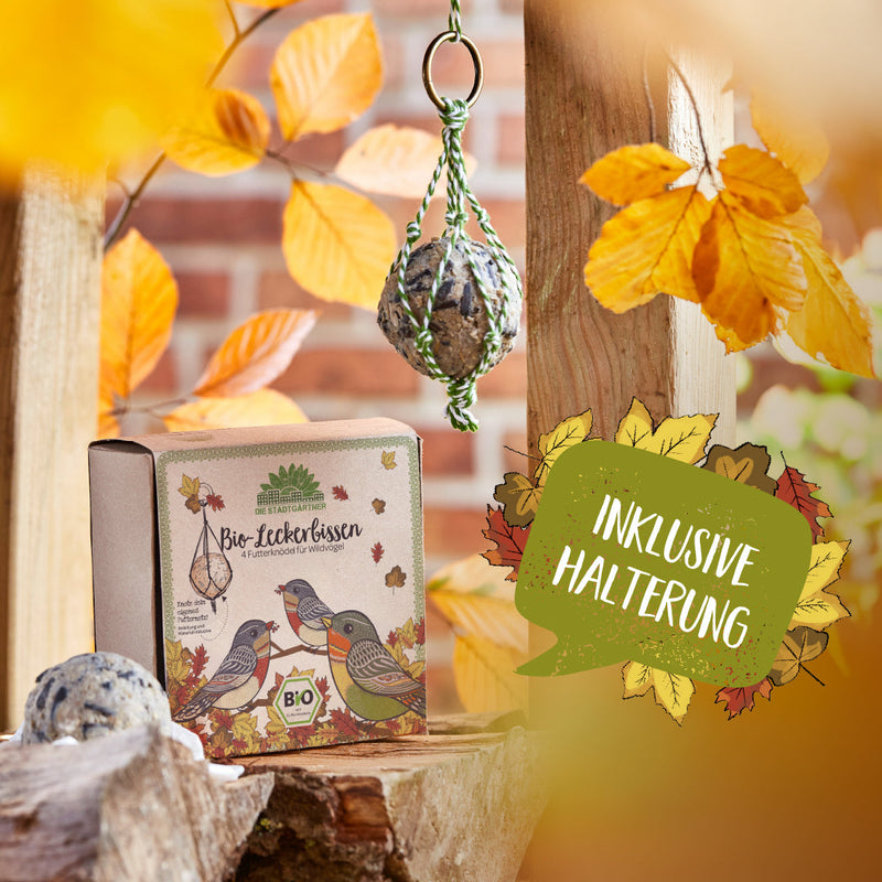 4 ORGANIC Treats – Food Dumplings for Wild Birds, EU-ORGANIC Certified — Ansicht 3