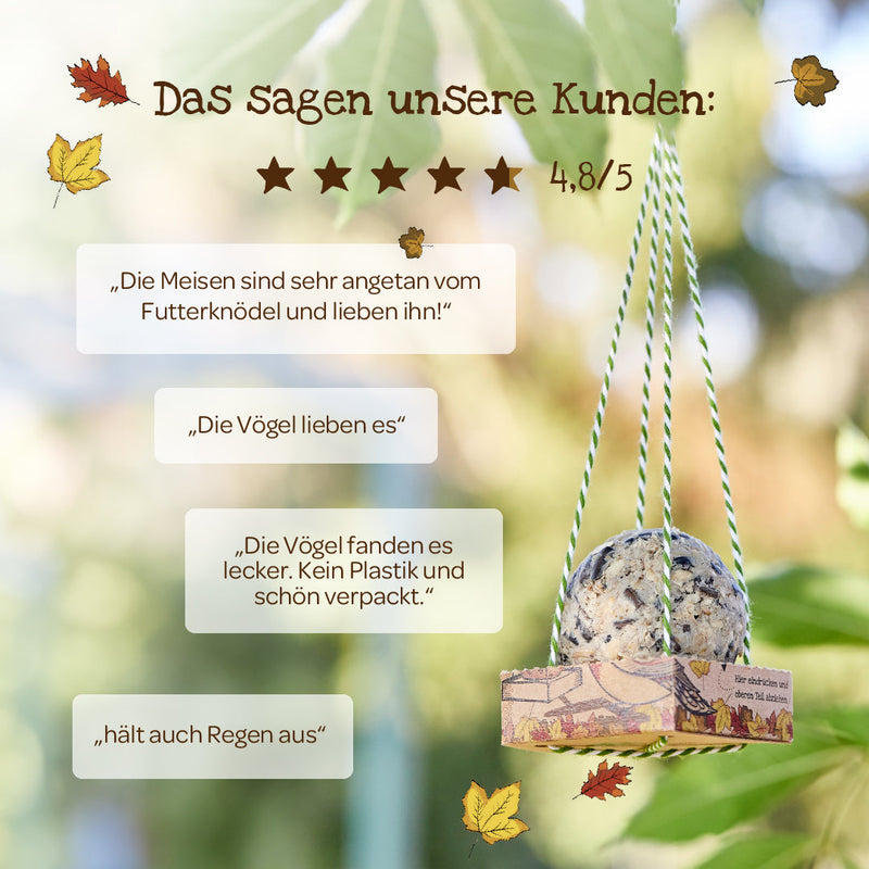 Organic Delights – Birdseed Dumplings for Wild Birds with Feeding Swing — Ansicht 6