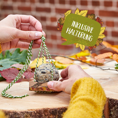 Organic Delights – Birdseed Dumplings for Wild Birds with Feeding Swing