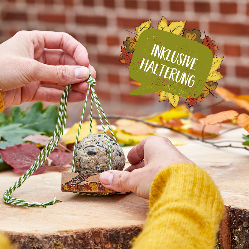 Organic Delights – Birdseed Dumplings for Wild Birds with Feeding Swing — Ansicht 3