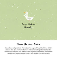 Pflanzkästchen Gänseblümchen – Hanfmatte kompostierbar — Ansicht 3
