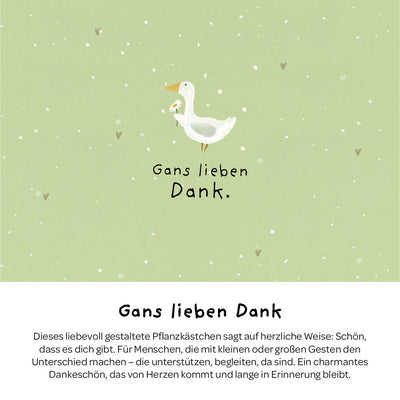 Pflanzkästchen Gänseblümchen – Hanfmatte kompostierbar