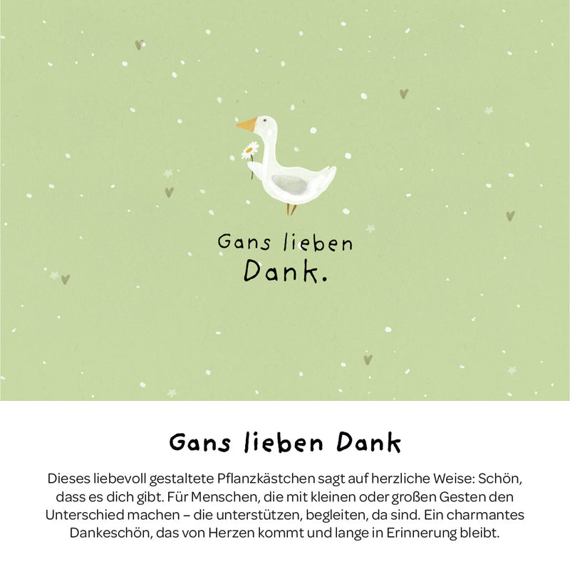 Pflanzkästchen Gänseblümchen – Hanfmatte kompostierbar — Ansicht 3