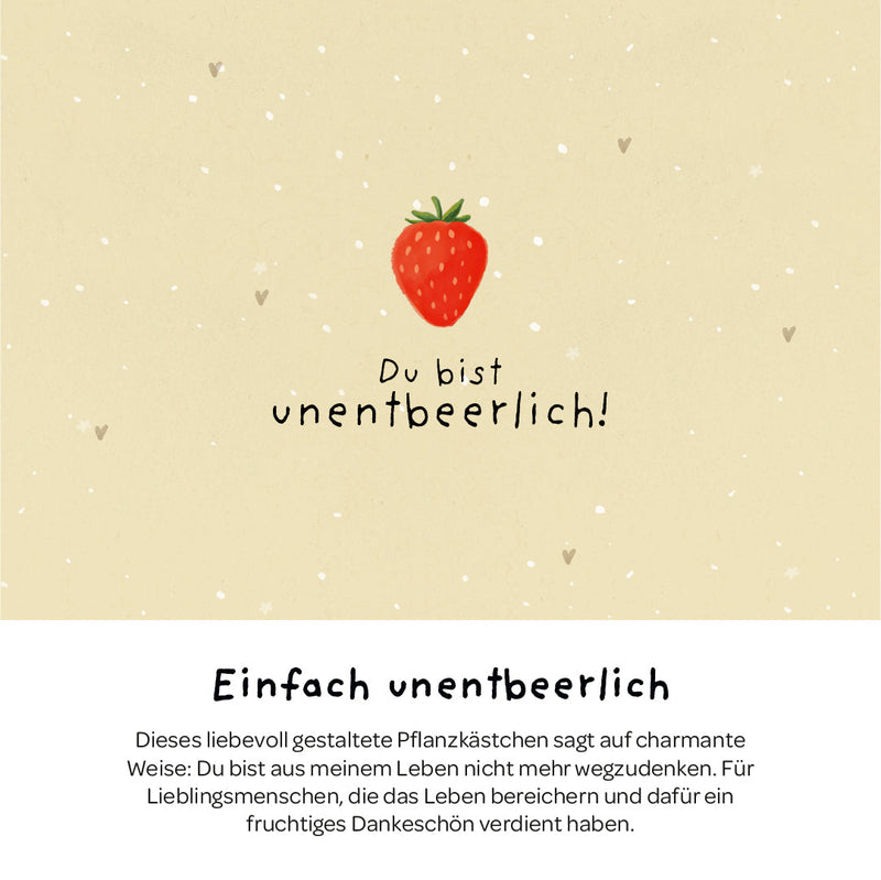 Pflanzkästchen Unentbeerlich – Erdbeer-Saatgut mit Hanfmatte — Ansicht 3