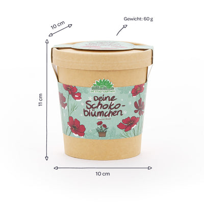 Schokoblumen Anzuchtset – Duftblüten im Becher