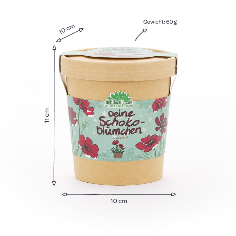 Schokoblumen Anzuchtset – Duftblüten im Becher — Ansicht 4