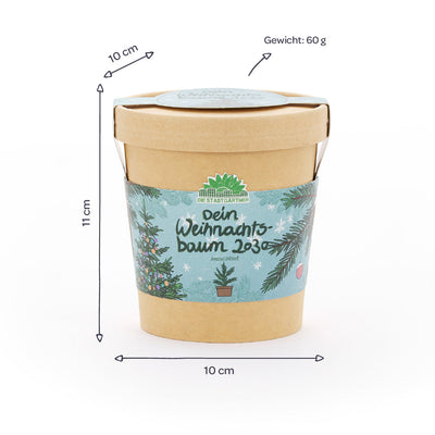 Weihnachtsbaum 2030 Anzuchtset – Fichte aus dem Becher