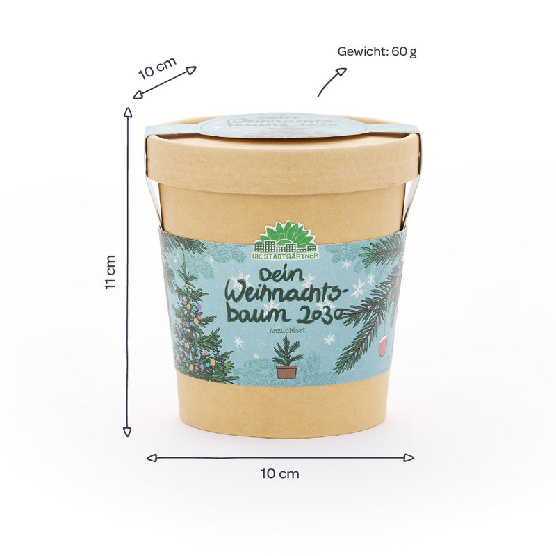 Weihnachtsbaum 2030 Anzuchtset – Fichte aus dem Becher — Ansicht 4