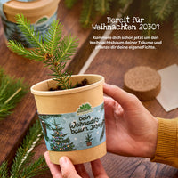 Weihnachtsbaum 2030 Anzuchtset – Fichte aus dem Becher — Ansicht 8