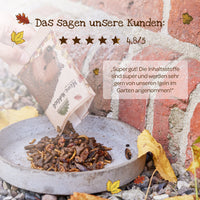 Kleine Mahlzeit – Igelfutter 25 g — Ansicht 6