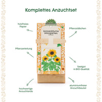 Organic Sunflower Mini Garden Seed Starting Kit – everything you need to get started — Ansicht 7