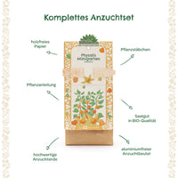 Mini-Garden Organic Physalis Growing Kit – Germinable Seeds, Potting Soil, Plant Markers — Ansicht 7