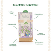 Climate Tree Growing Kit – Paulownia Seeds & Soil — Ansicht 7