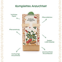 Peanut Mini-Garden Seed Starting Set – Die Stadtgärtner — Ansicht 7