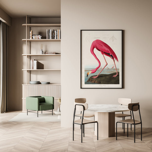 American Pink Flamingo - Animal Print Fine Art Canvas