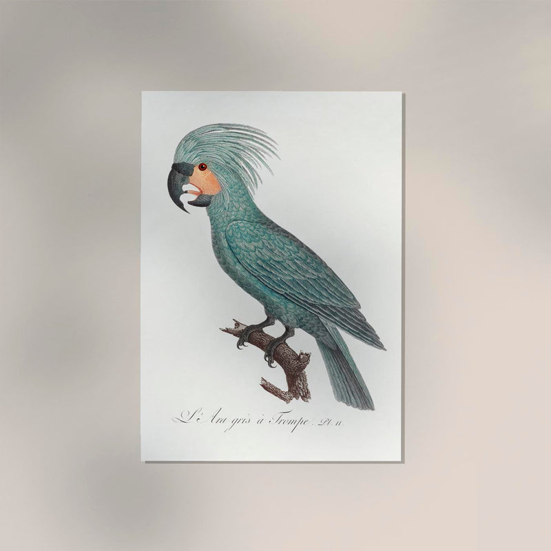 African Grey Parrot Animal Print - Fine Art Canvas Wall Art — Ansicht 2