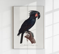 Black Macaw Animal Print Poster – Handmade Berlin — Ansicht 1