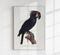 Black Macaw Animal Print Poster – Handmade Berlin