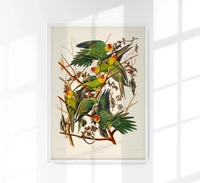 Caroline Parakeet Animal Print – Handmade in Berlin — Ansicht 1