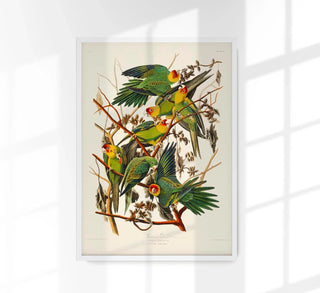 Caroline Parakeet Animal Print | Farbenfroher Vogelprint | Handgefertigt in Berlin