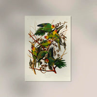 Caroline Parakeet Animal Print – Handmade in Berlin — Ansicht 2