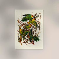 Caroline Parakeet Animal Print – Handmade in Berlin — Ansicht 2