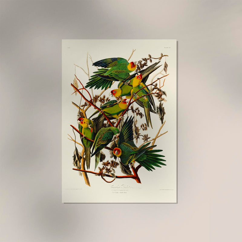 Caroline Parakeet Animal Print – Handmade in Berlin — Ansicht 2
