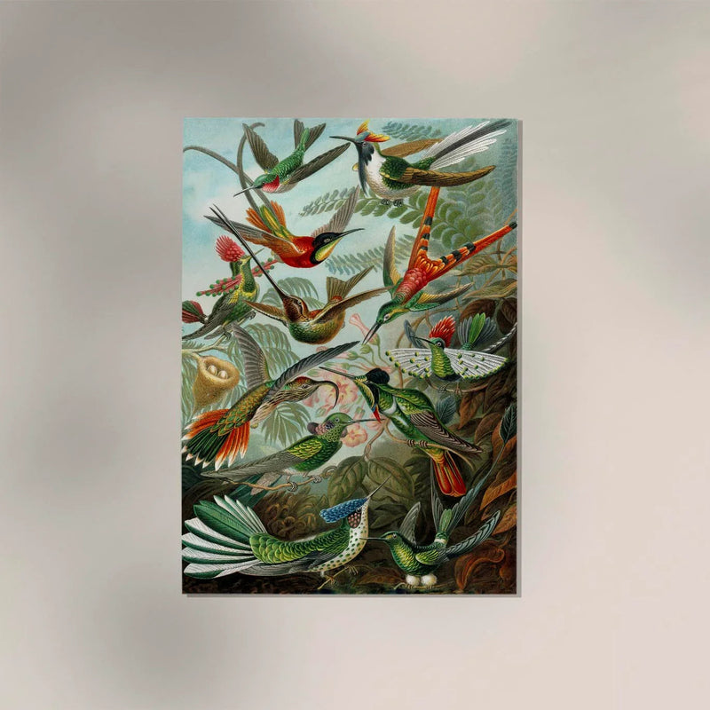 Birds of Paradise by Ernst Haeckel Poster – Naturwissenschaft trifft Ästhetik, handgefertigt Berlin — Ansicht 3