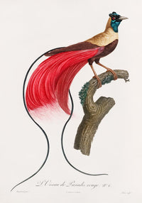 Patroa Studio Set Birds – 2er Kunstdruck Set — Ansicht 4