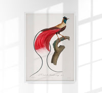Red Bird of Paradise Animal Print Poster – Handgedruckt Berlin — Ansicht 1