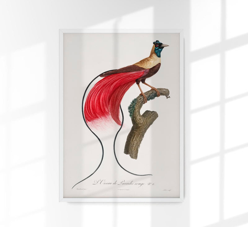 Patroa Studio Set Birds – 2er Kunstdruck Set — Ansicht 3