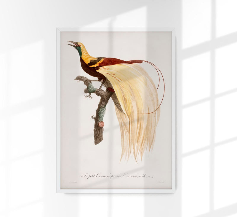 Patroa Studio Set Birds – 2er Kunstdruck Set — Ansicht 5