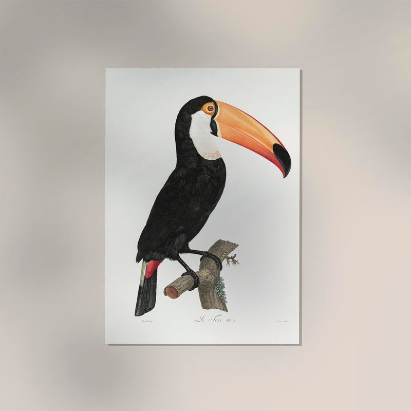 Toucan Fine Art Print UV-resistant Animal Motif Wall Art — Ansicht 2