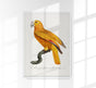 Yellow Parakeet Poster – UV-beständiger Kunstdruck