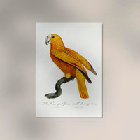 Yellow Parakeet Poster – UV-beständiger Kunstdruck — Ansicht 2