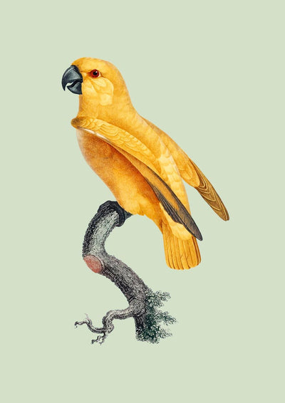 Yellow Parrot Green Poster – Tropisches Design UV-beständig Fine Art Print