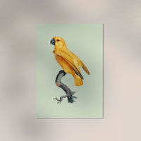 Yellow Parrot Green Poster – Tropisches Design UV-beständig Fine Art Print — Ansicht 2