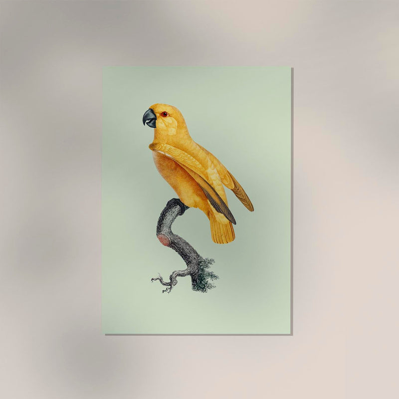 Yellow Parrot Green Poster – Tropisches Design UV-beständig Fine Art Print — Ansicht 2