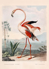 Pink Flamingo Vintage Poster – Archival-Kunstdruck aus Berlin — Ansicht 3